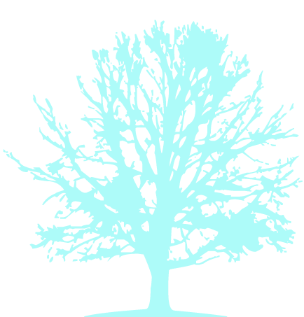 arbol-huertos-elquinos-2