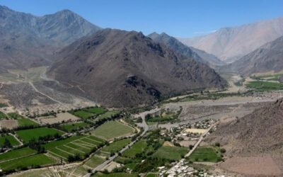 Bienvenidos huertos Elquinos 2